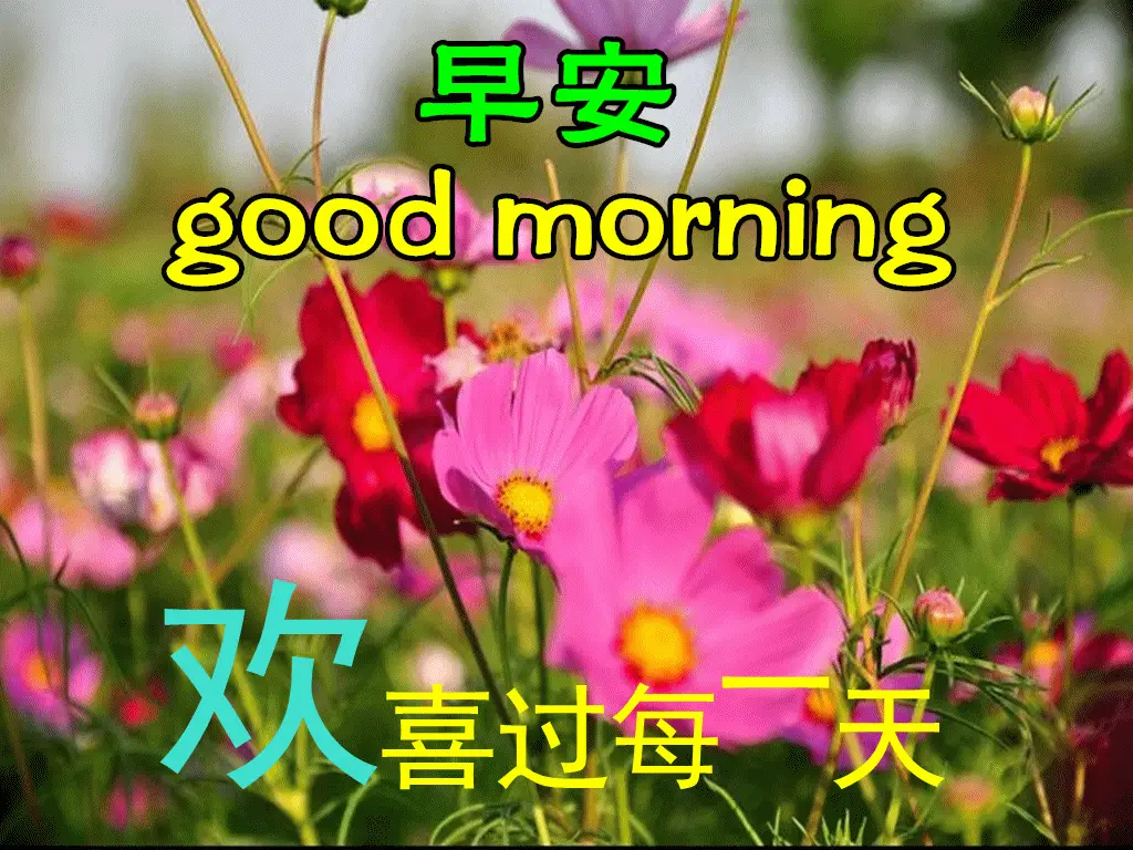 你欠我一个拥抱的清晨_清晨拥抱图片图片_拥抱清晨的句子