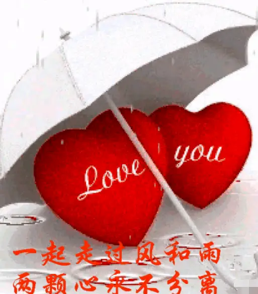 倦寻芳香散舞衣凉寂月皎皎_凉月老师简介_凉月