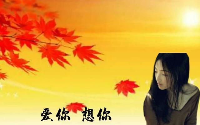 晃志郎_晃志郎_晃志郎
