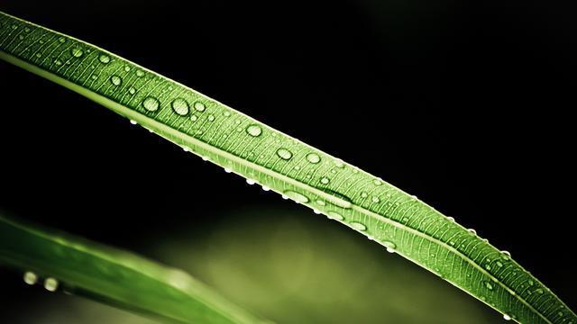 手机游戏手游_手机游戏推荐_phone手机游戏
