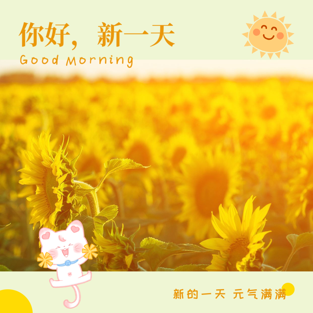 田中爱_田中爱子晚安布布_田中爱美的歌