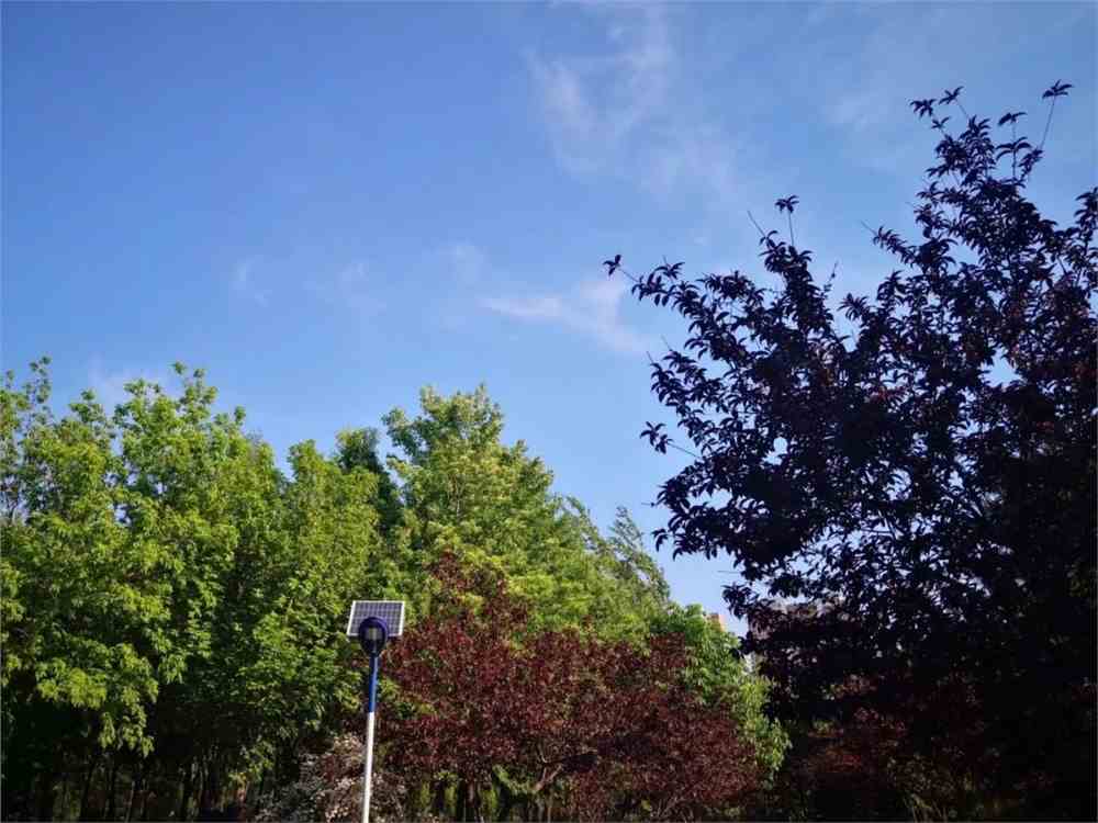 木叶白牙旗木朔茂_茂木夏树是什么意思_茂木夏树