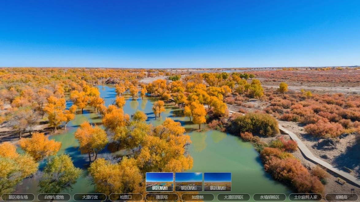 vr游戏手机游戏_vr肉游戏手机_手机vr游戏app