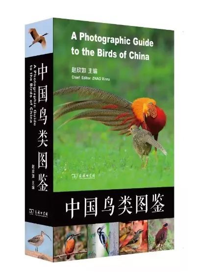 美国十条诫令：阴谋还是策略？揭秘其背后的真相