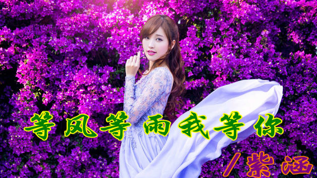 微信密友苹果版：藏在心底的秘密，只有你我能看见
