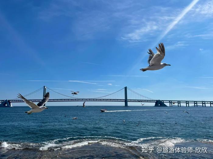 海物语_物语海盗游戏_物语海老名