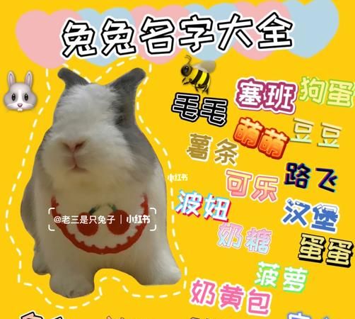 ∞手机游戏_手机游戏开发_手机游戏平台