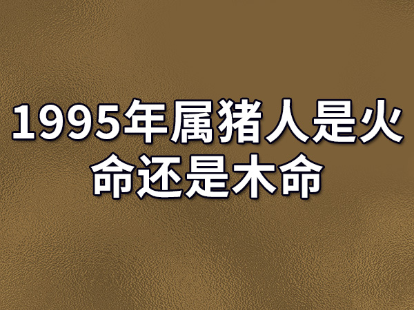 1995属猪的啥命_1995属猪人什么命_属猪人什么命1995