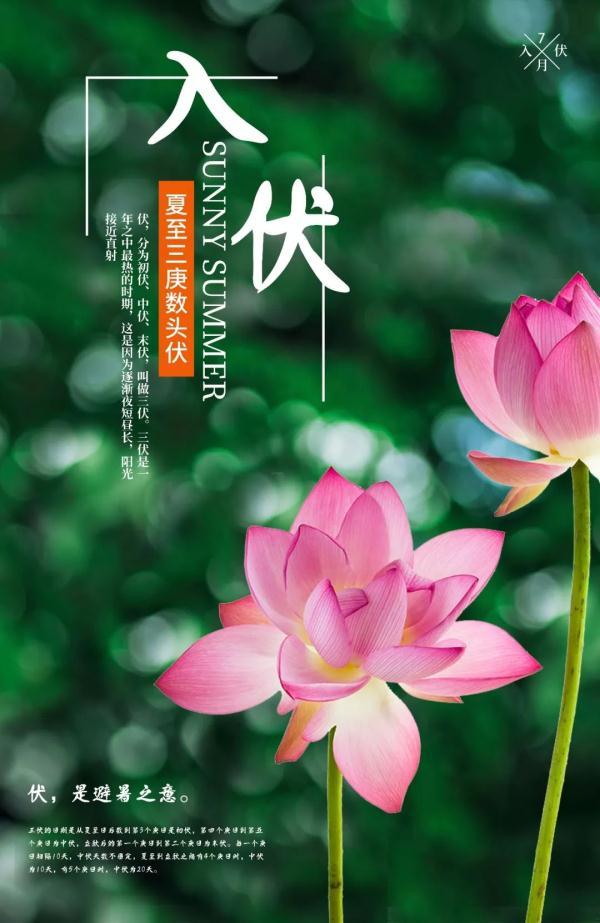 三九时节_三九军事_三九