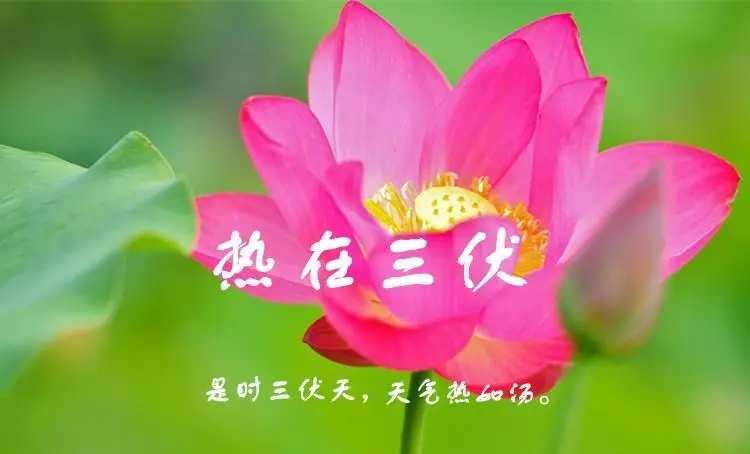 入伏2023时间表从哪一天开始算起-2023 年入伏时间确定