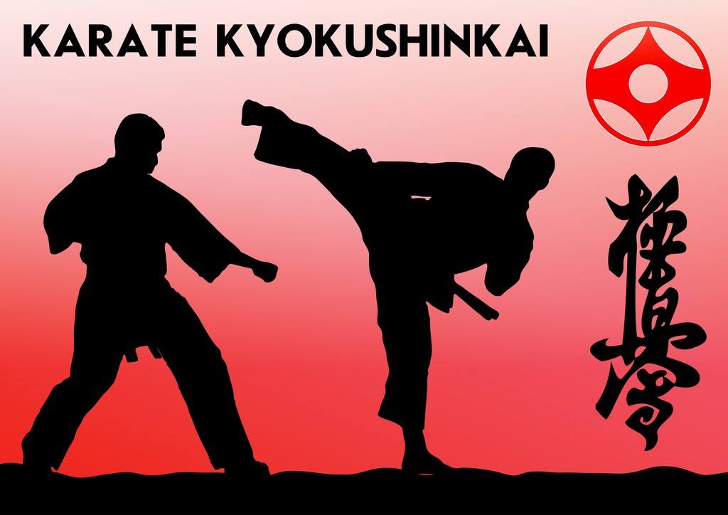 手机游戏机推荐排名_karatemaster手机游戏_手机游戏捕鱼