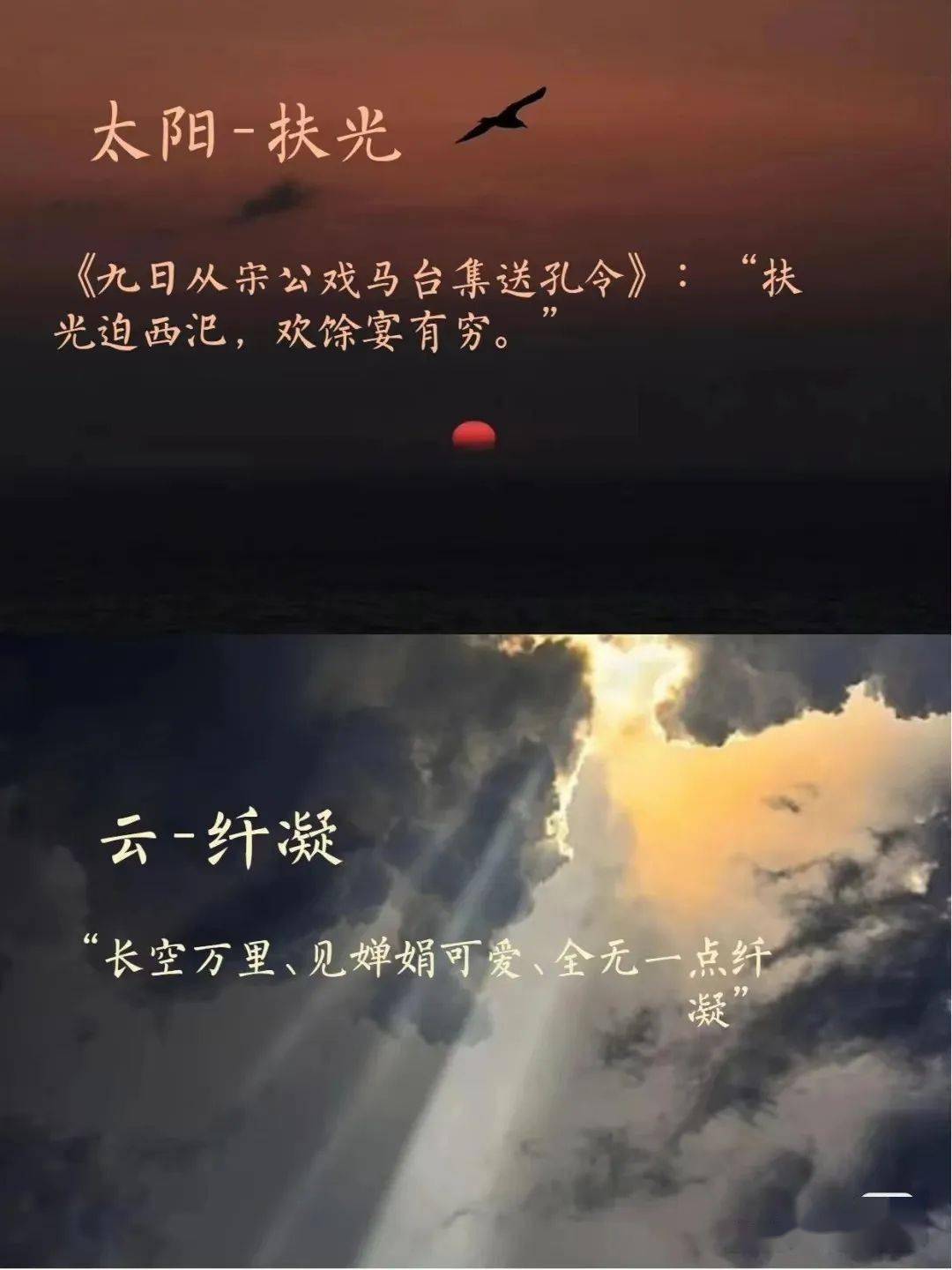 loli 手机游戏-探索梦幻世界：Loli 手机游戏的治愈魅