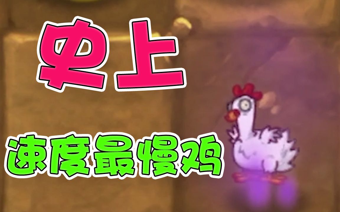僵尸鸡图片_猪人僵尸鸡骑士_僵尸鸡
