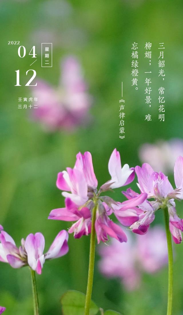 2025年是不是润月年_2022年3月5日_月日年还是日月年