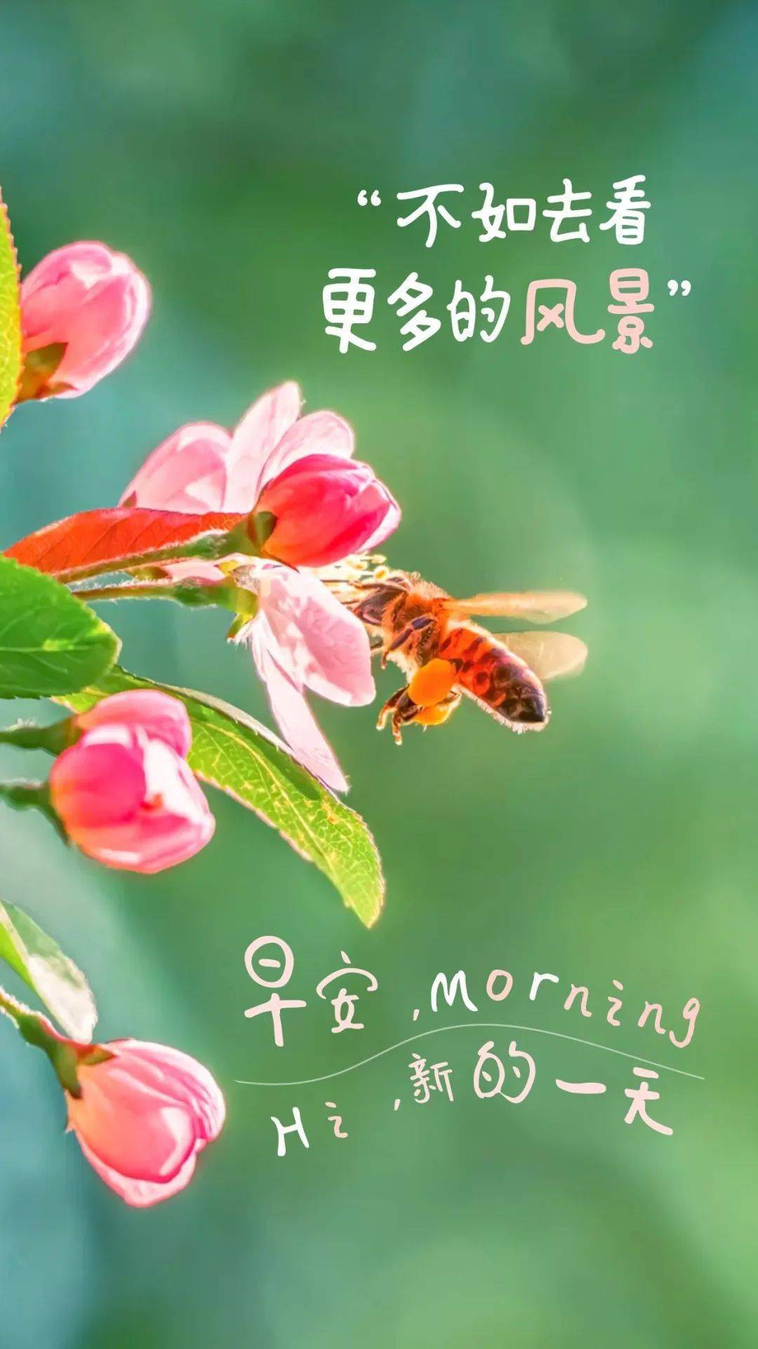 月日年还是日月年_2025年是不是润月年_2022年3月5日