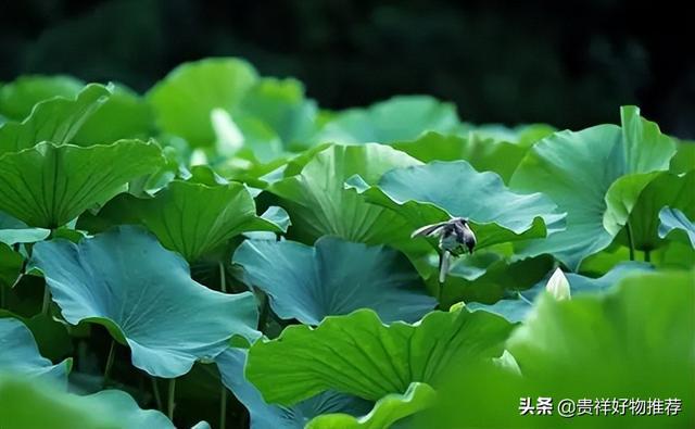 月日年还是日月年_2022年3月5日_2025年是不是润月年