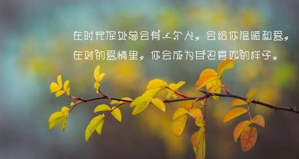 梅蒂欣_梅蒂欣_梅蒂欣