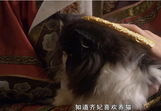宫女小游戏_宫口手机游戏_宫女类游戏
