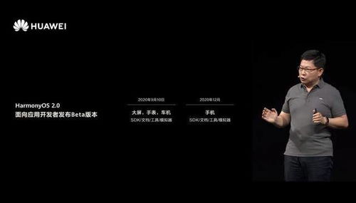华为鸿蒙系统2降到安卓,体验鸿蒙后回退至安卓EMUI系统的操作指南”