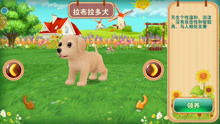 养宠物游戏,探索养宠物游戏的无限魅力