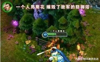 取名宝生肖取名 